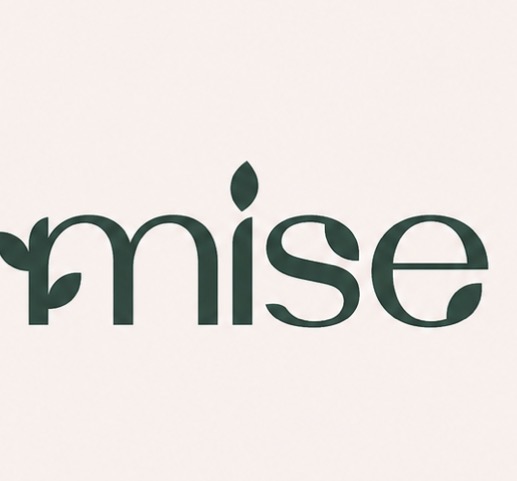 MISE Fit